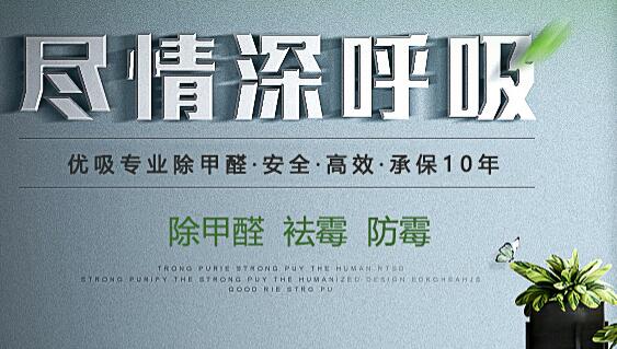 分析除甲醛的三大必要性